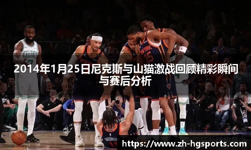 2014年1月25日尼克斯与山猫激战回顾精彩瞬间与赛后分析
